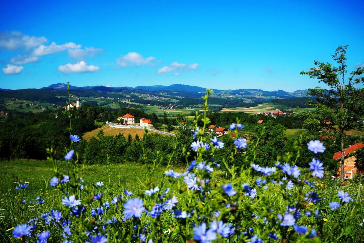 King Of The Hill Zagorska Sela Exterior foto